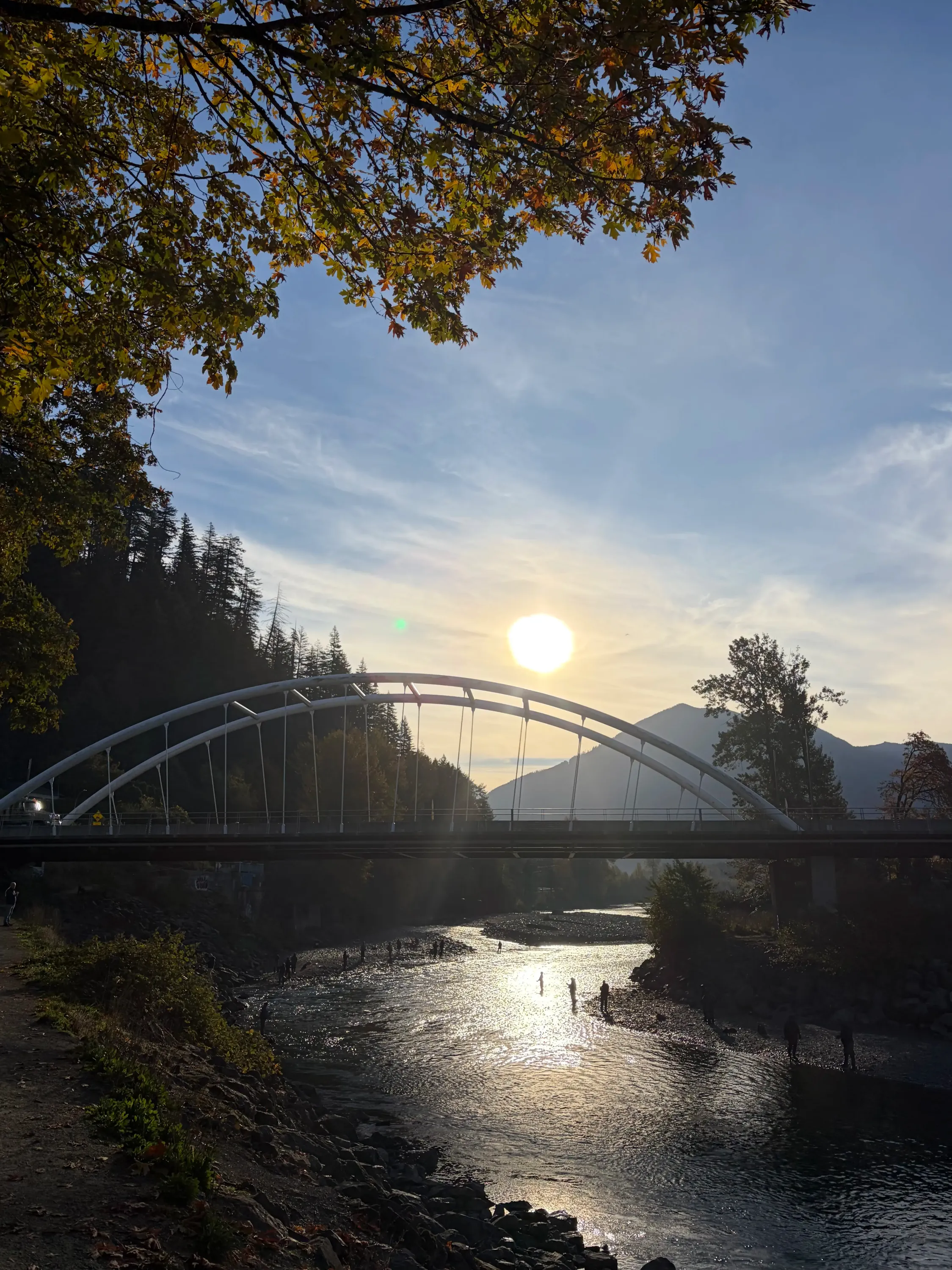 Vedder River Bridge 